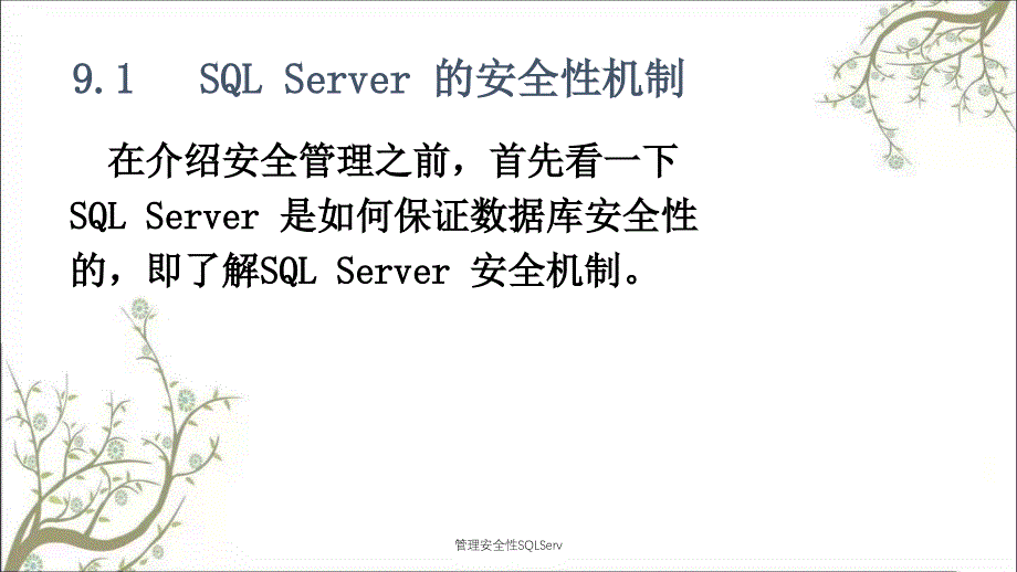 管理安全性SQLServPPT课件_第3页