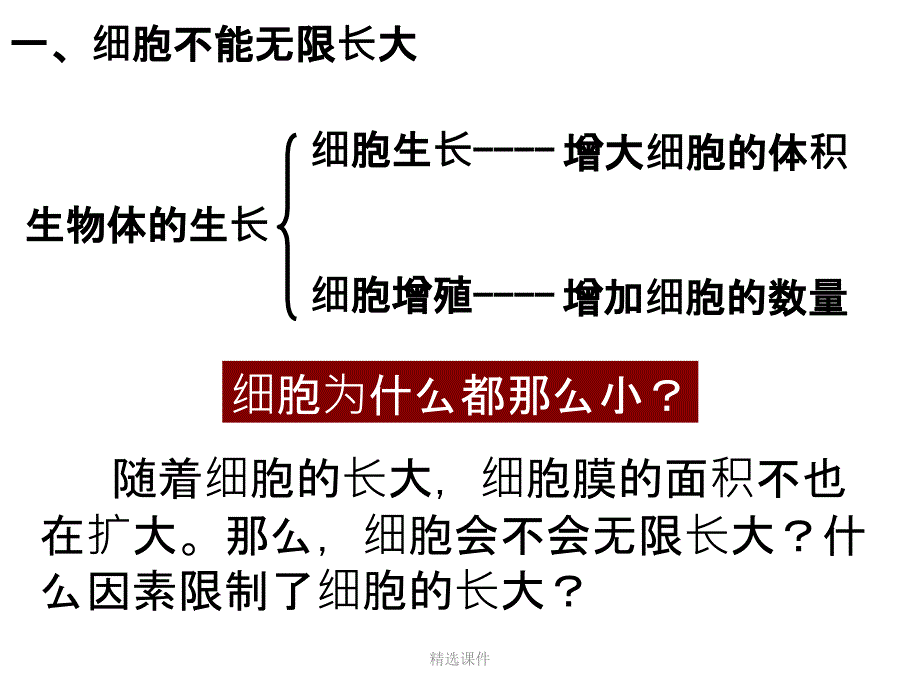 细胞增殖一轮复习_第3页