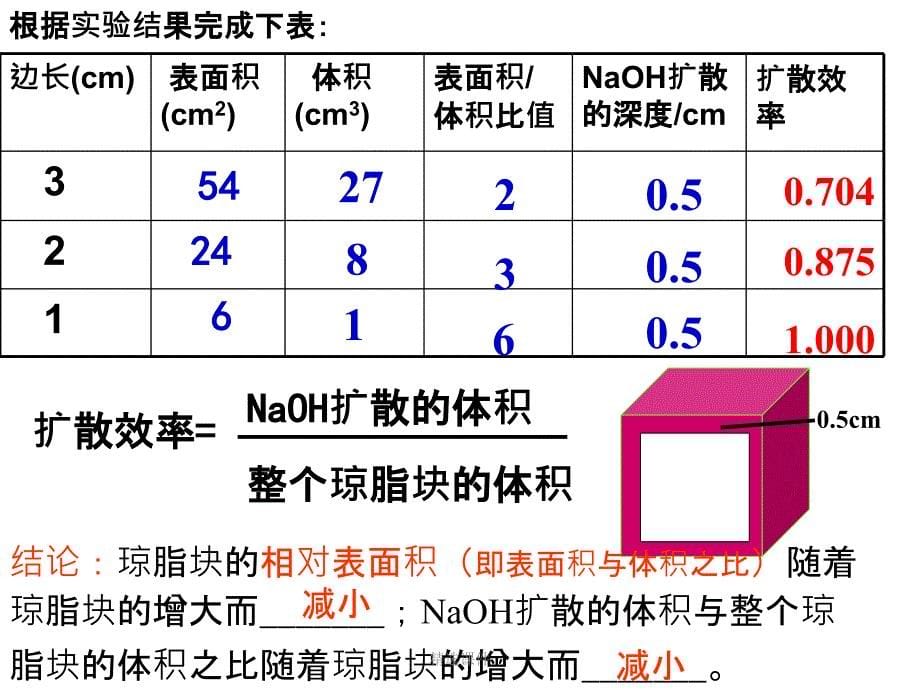 细胞增殖一轮复习_第5页