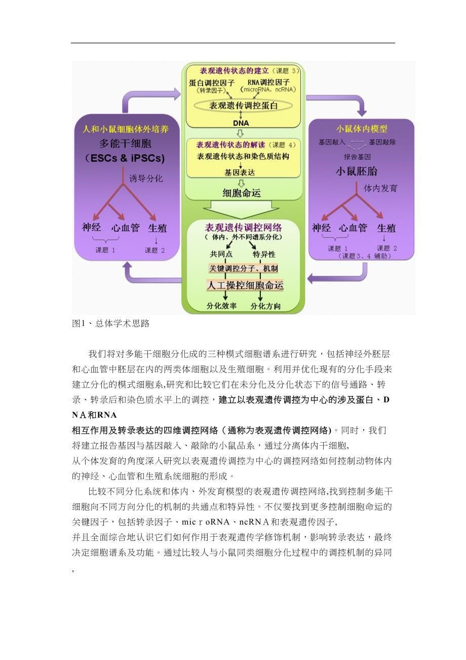 多能干细胞定向分化的表观遗传学调控网络_第5页