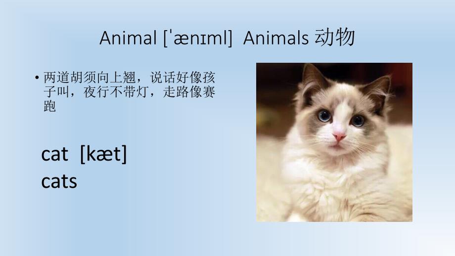 (译林版)4A-Unit-1--I-like-dogs-(Period-1)教学ppt课件_第2页