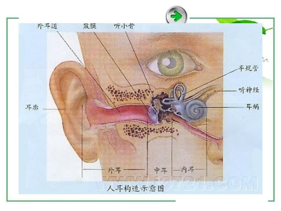 影视心理学第5章_第5页