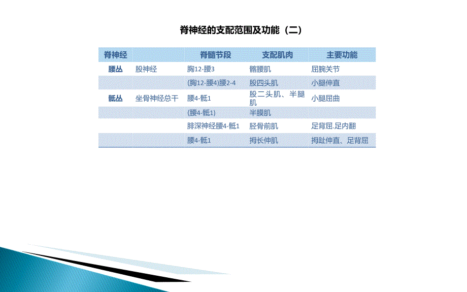 颅内神经分布表_第2页