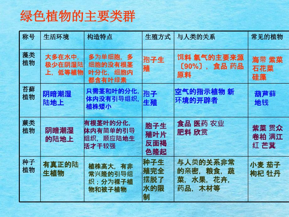 绿色植物的主要类群ppt课件_第2页