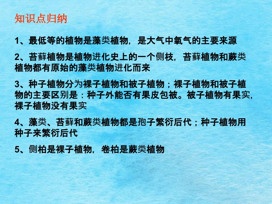 绿色植物的主要类群ppt课件_第3页