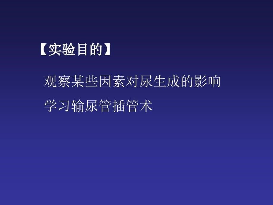 影响尿生成的因素课件_第5页