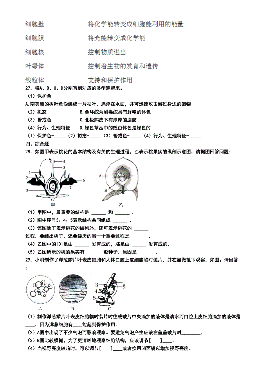 天津市和平区2019年七年级上学期生物期末试卷(模拟卷二)(DOC 6页)_第4页