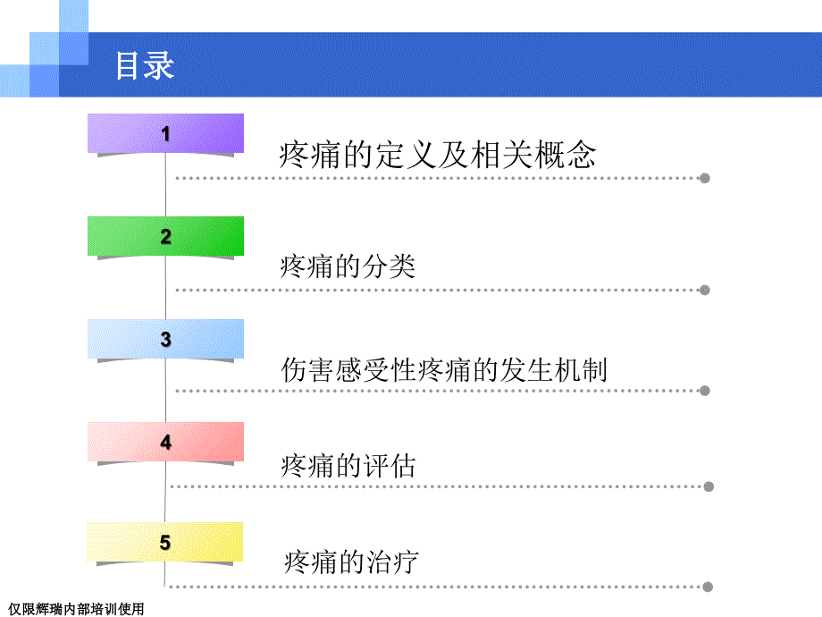 疼痛基础知识ppt课件_第2页