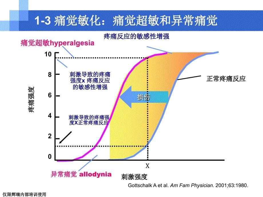 疼痛基础知识ppt课件_第5页