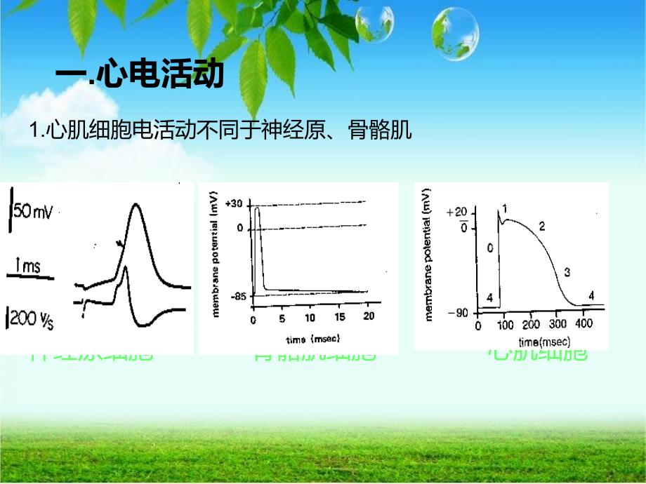 心律失常的现代治疗_第3页