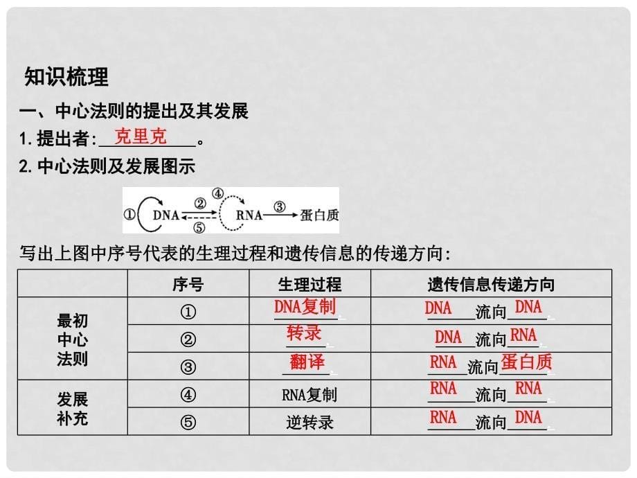 高中生物 第4章 第2节 基因的表达 基因对性状的控制课件 新人教版必修2_第5页