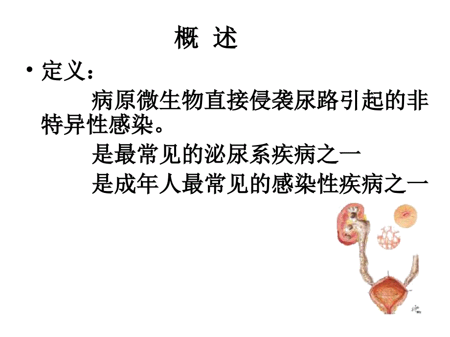 尿路感染课件_第1页