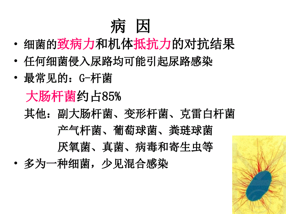 尿路感染课件_第4页