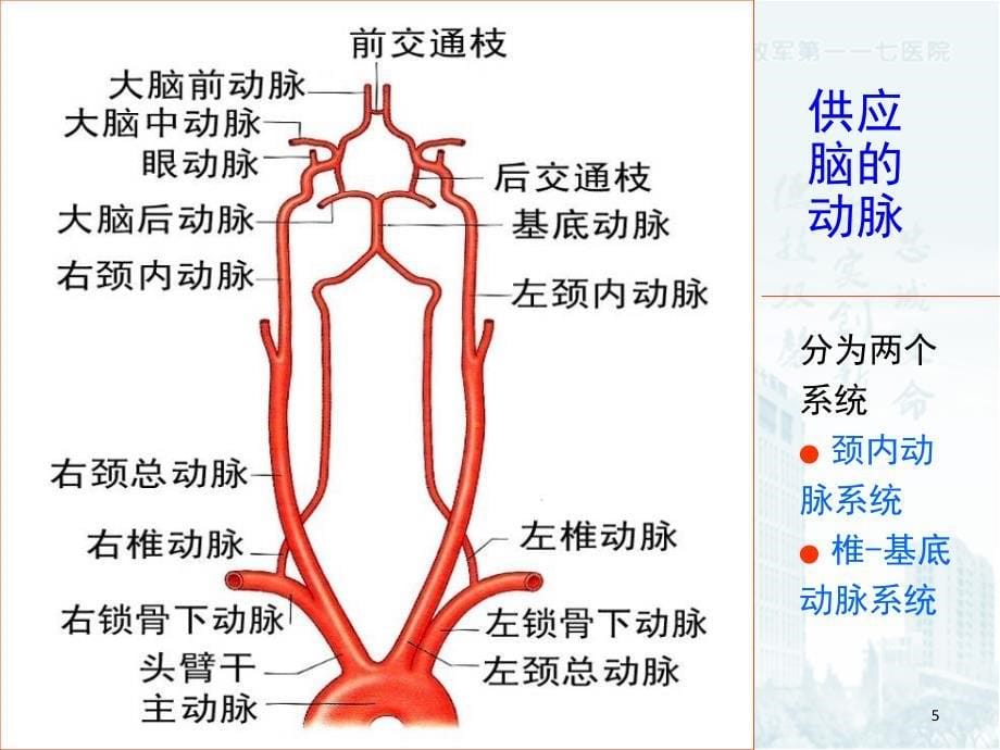 颈动脉狭窄诊治指南最终版_第5页