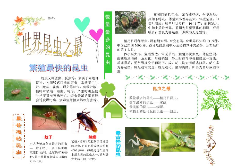 世界之最电子小报_第1页