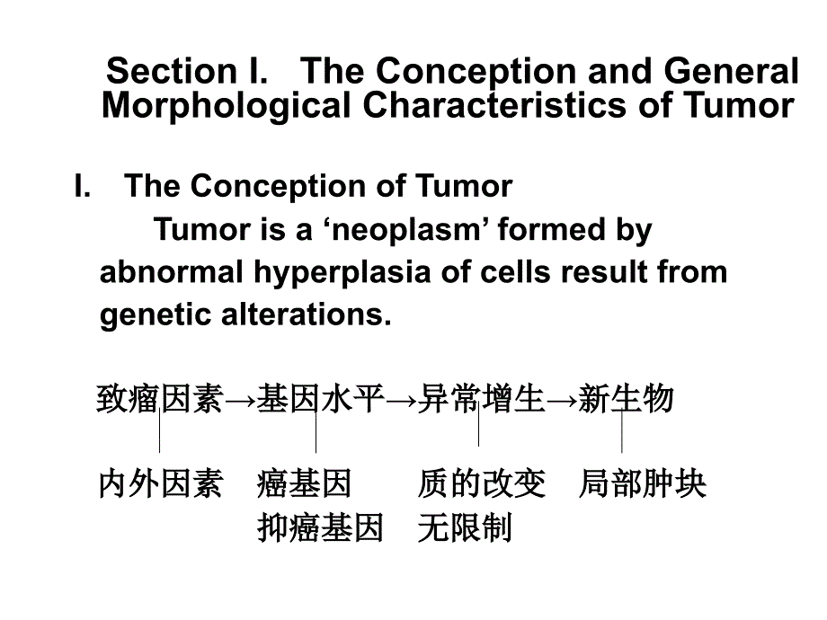 病理学英文课件：第五章 肿瘤_第5页