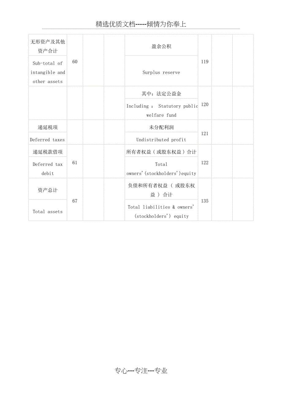 资产负债表-中英文对照-样表_第5页