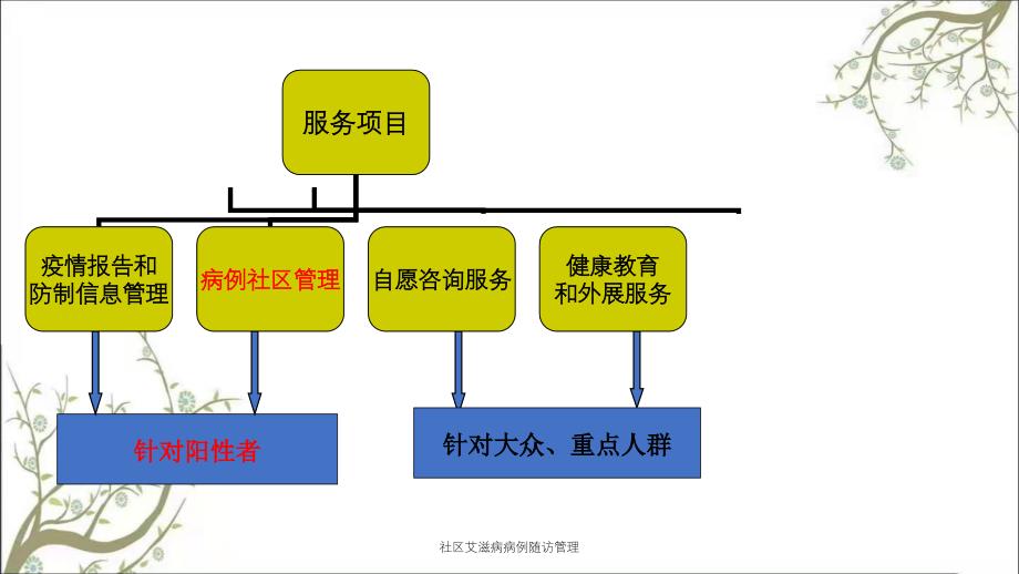 社区艾滋病病例随访管理_第3页