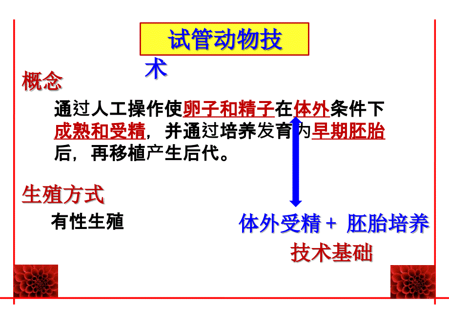 31.2体外受精和早期胚胎培养_第5页