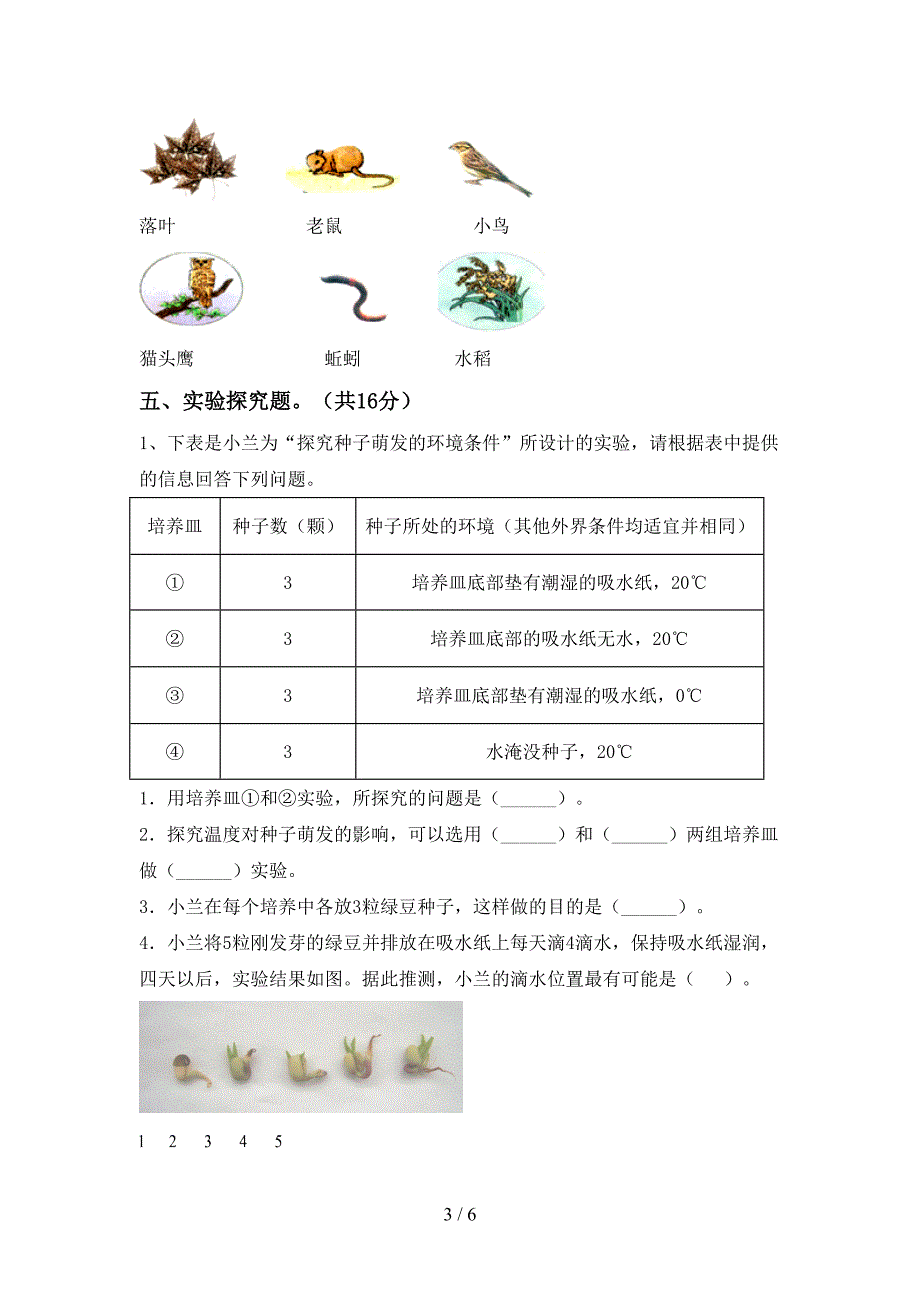 教科版五年级科学上册期中测试卷(附答案).doc_第3页