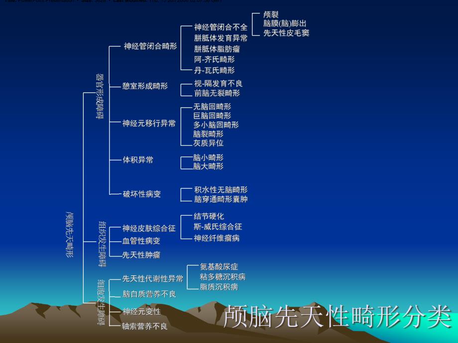 颅脑先天畸形_第4页