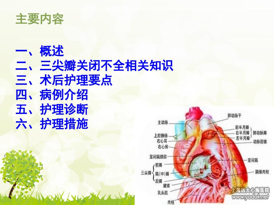 胸腔镜三尖瓣置换术后护理查房.ppt_第2页