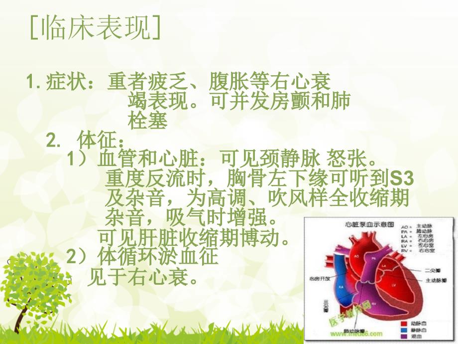 胸腔镜三尖瓣置换术后护理查房.ppt_第5页