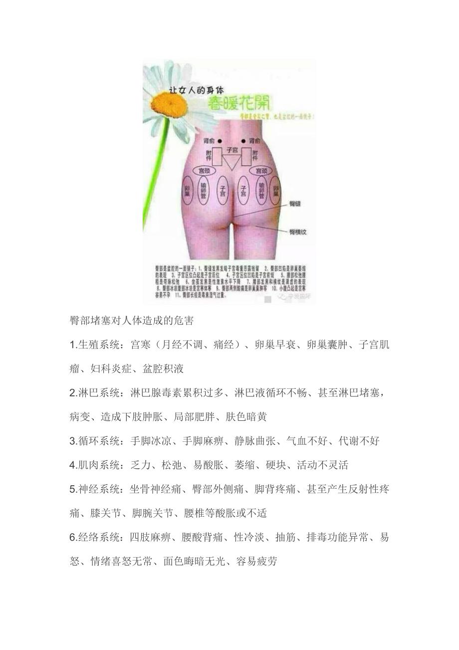 女人的臀部究竟有多少秘密介绍_第2页