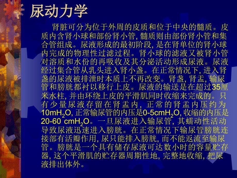 医学泌尿系梗阻(尿路梗阻)_第5页