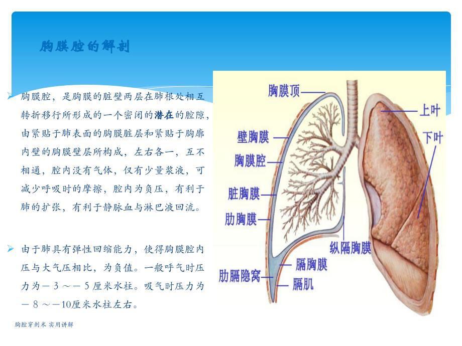 最新最新胸腔穿刺术实用讲解_第3页