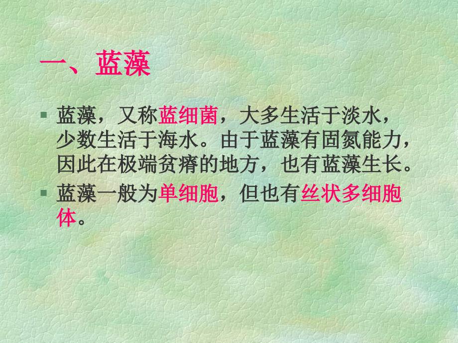 人教版整理植物系统分类概述36新课标资源_第4页