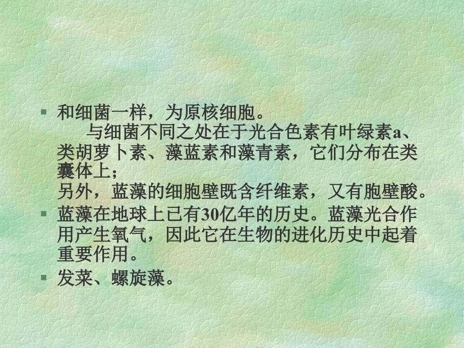 人教版整理植物系统分类概述36新课标资源_第5页