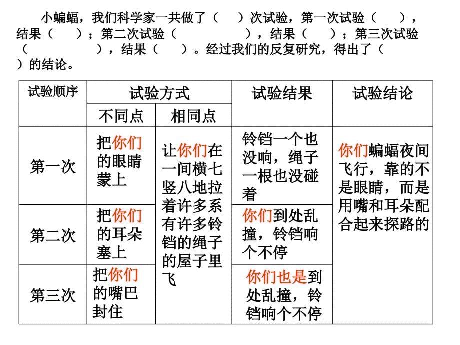 蝙蝠和雷达第二课时_第5页