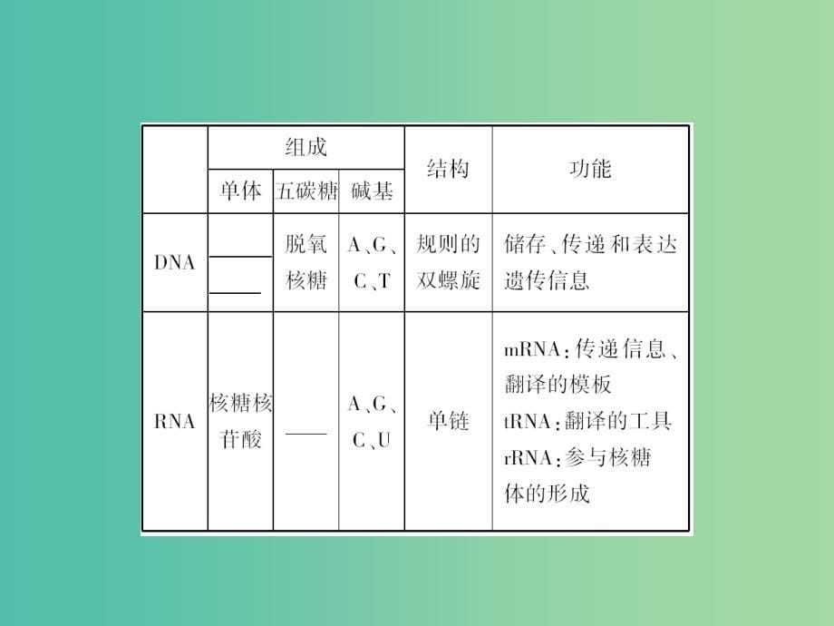 高中生物 4-1 基因指导蛋白质的合成课件 新人教版必修2.ppt_第5页