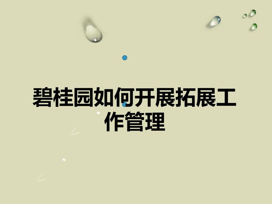 碧桂园专业拓客行销方案_第1页
