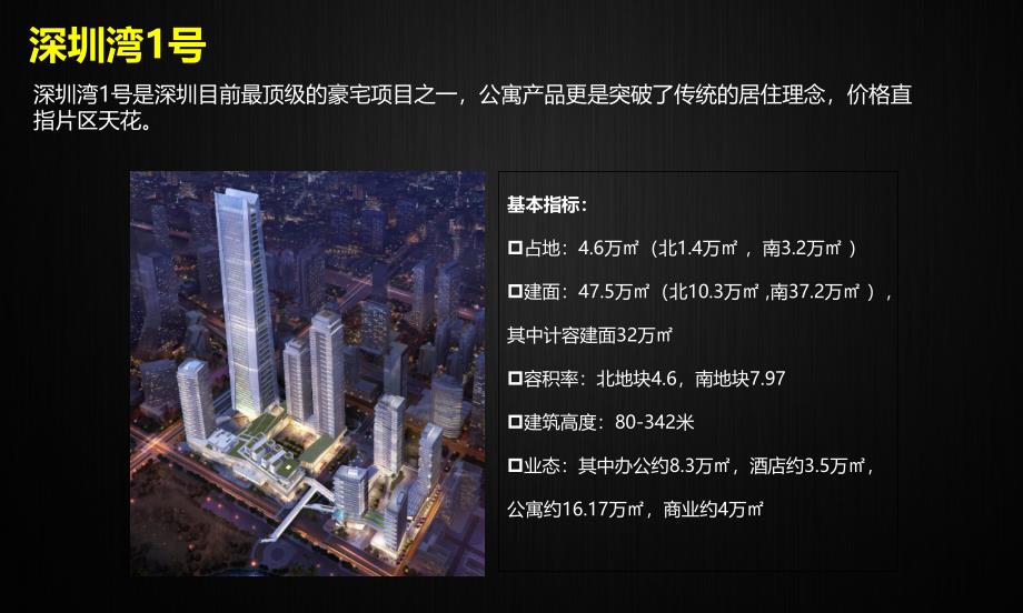 深圳豪宅公寓项目案例研究.ppt_第3页