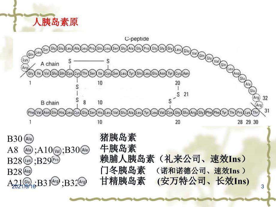 重组人胰岛素生产工艺_第3页