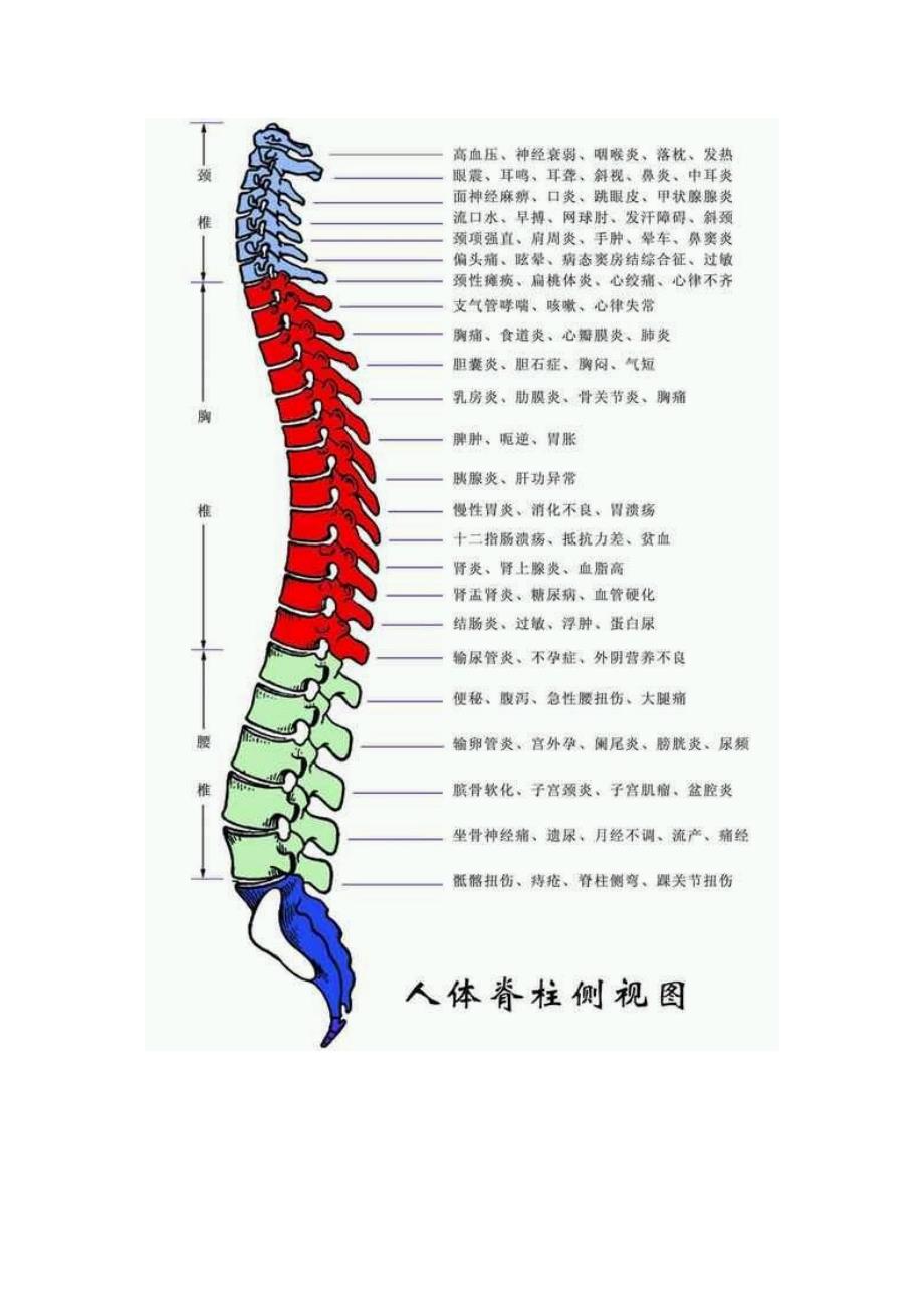 各种痛症的真实原因【附图】+.doc_第4页