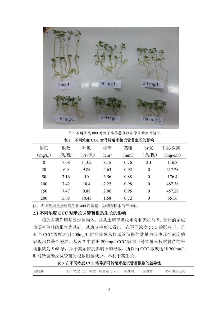 矮壮素对马铃薯米拉试管苗生长的影响.doc_第4页