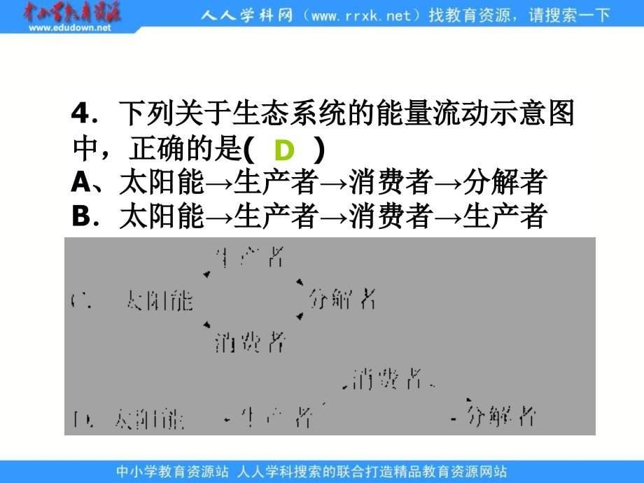 济南版生物八下第一章生态系ppt复习课件_第5页