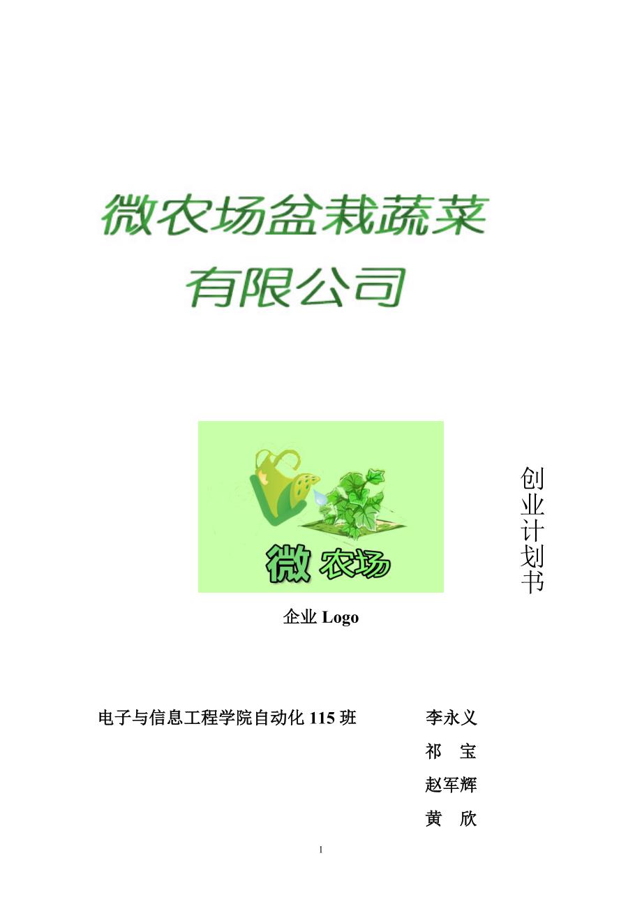 盆栽蔬菜创业计划书_第1页