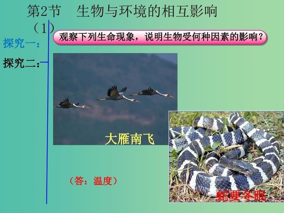 七年级生物上册 1.1.2 生物与环境的相互影响课件 北师大版.ppt_第5页