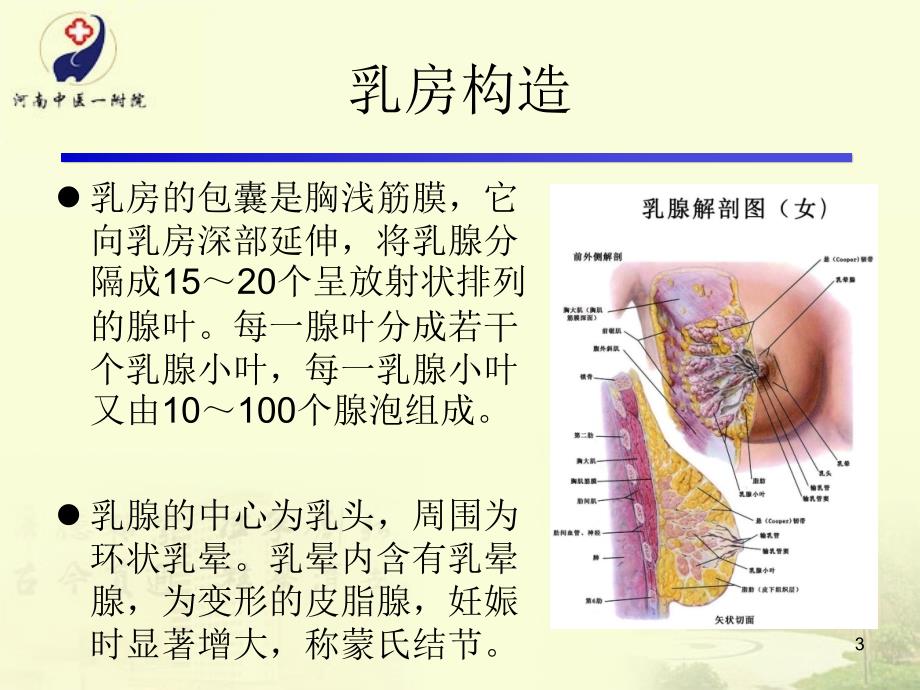 急性乳腺炎的护理和辩证施护PPT课件_第3页