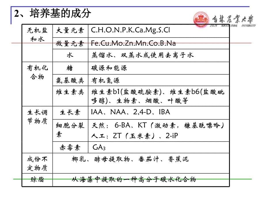 第十五章生物技术与作物育种_第5页