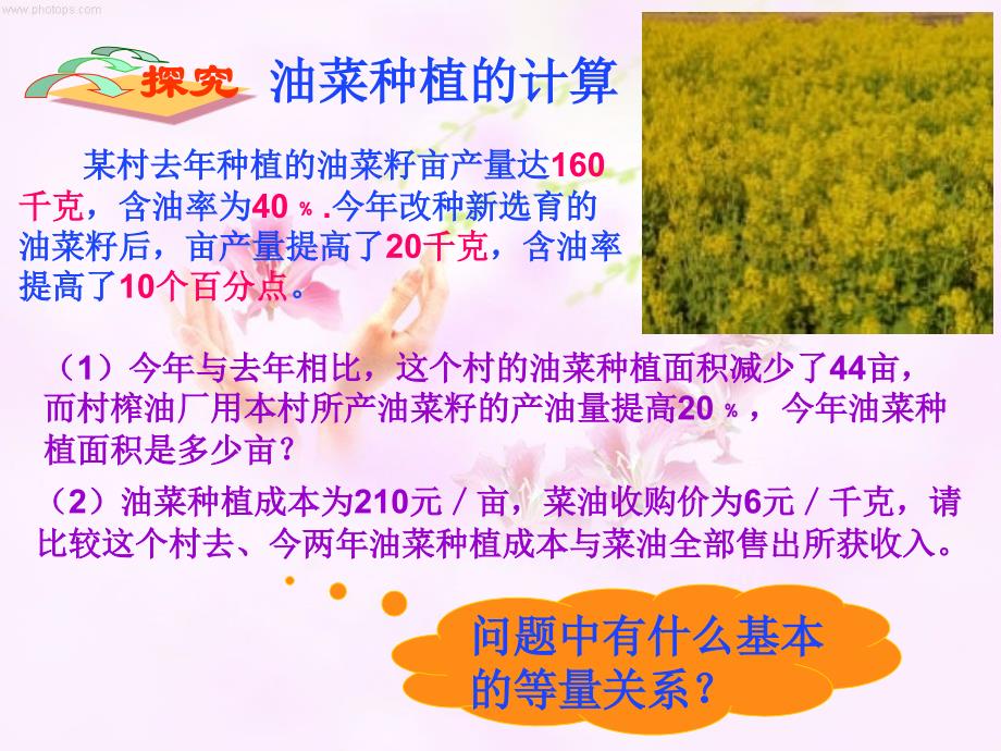 3.4实际问题与一元一次方程油菜种植的计算2_第3页