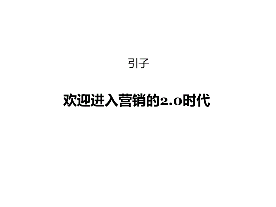 武汉金地四新项目推广执行方案_第2页