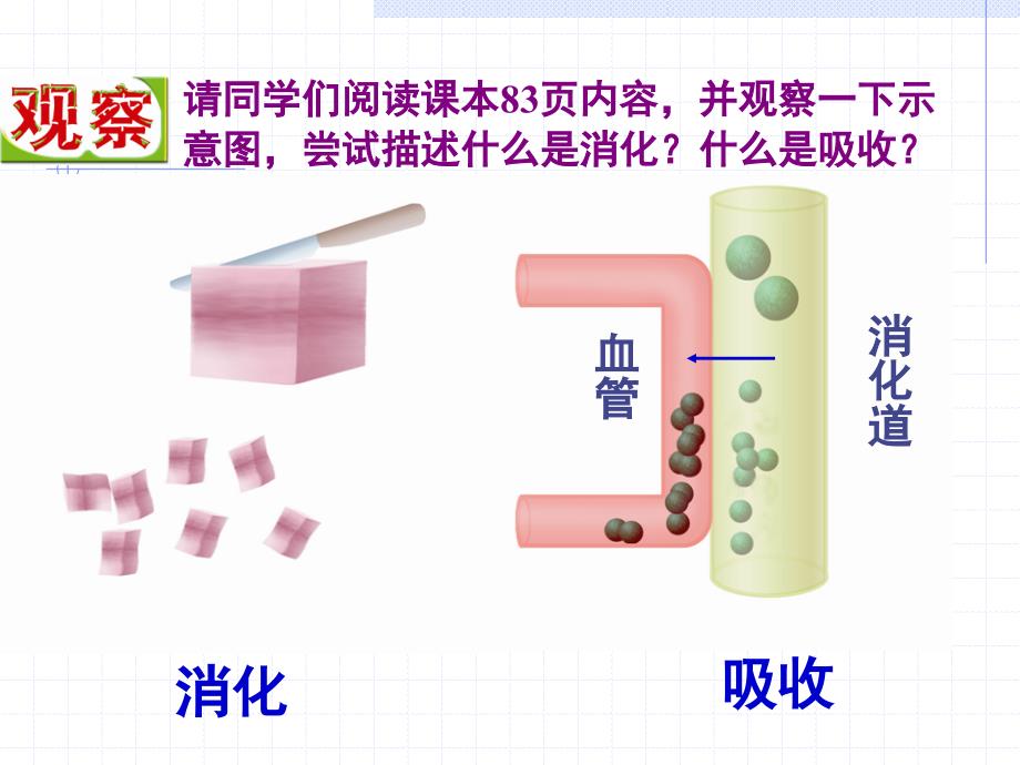 人体对食物的消化和吸收第一课时_第3页