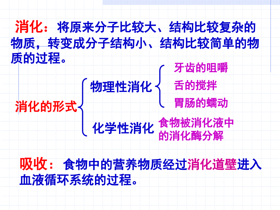 人体对食物的消化和吸收第一课时_第4页