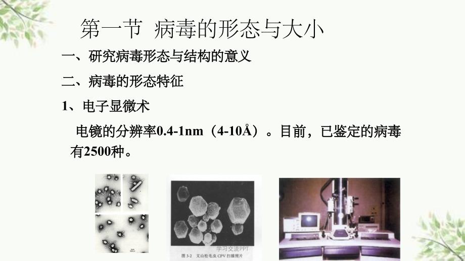 病毒学第二章 病毒的形态与结构课件_第3页