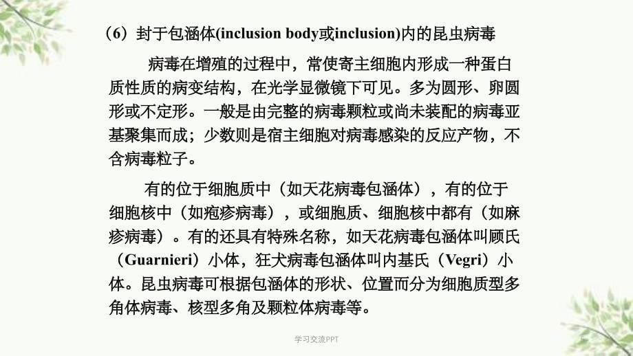 病毒学第二章 病毒的形态与结构课件_第5页